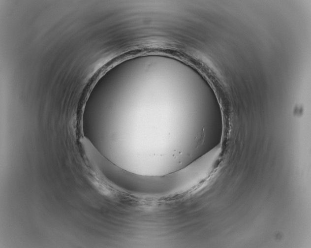 X0000096131065200802011143