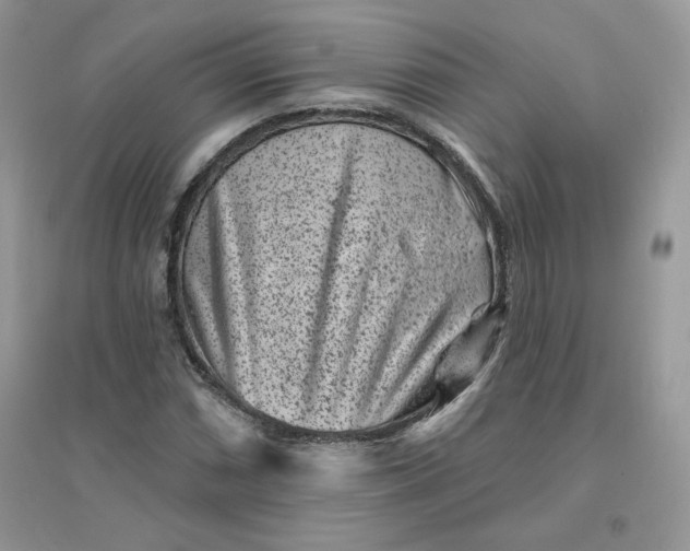 X0000096131066200802011143