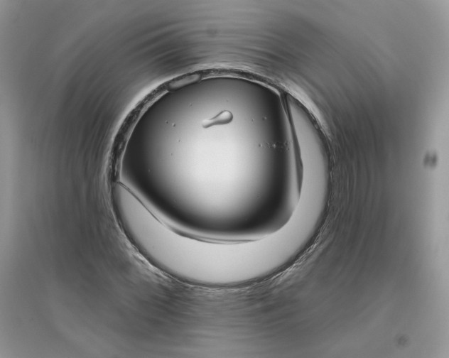 X0000096131068200802011142