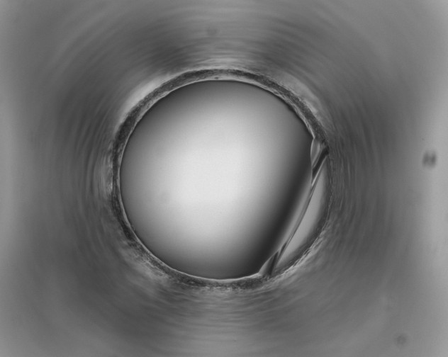 X0000096131069200802011142