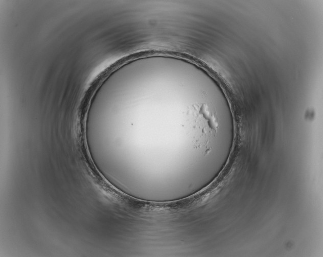 X0000096131070200802011142