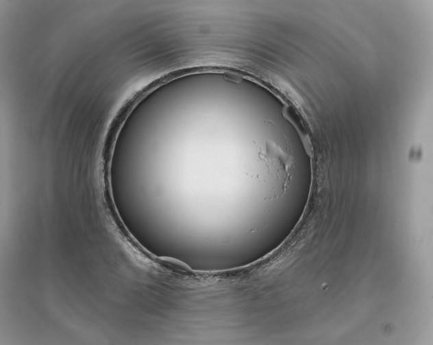 X0000096131072200802011142