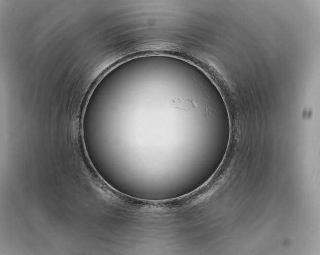 X0000096131073200802011142