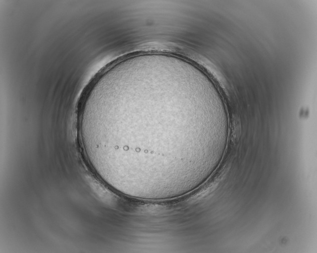 X0000096131075200802011142