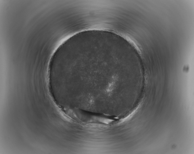 X0000096131077200802011142