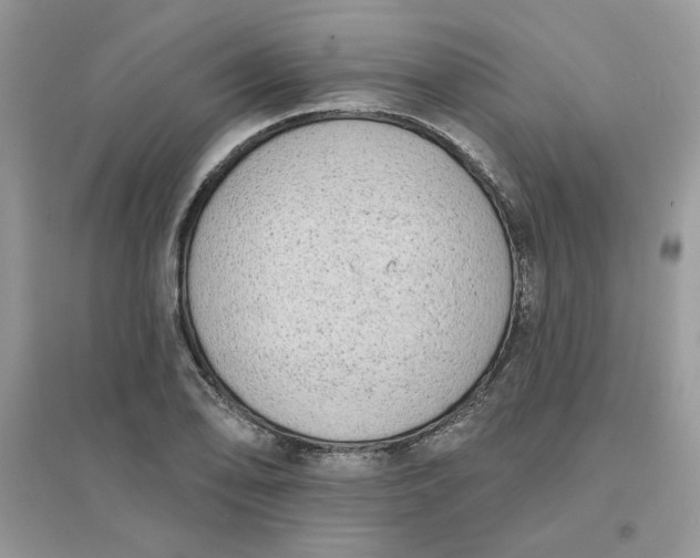X0000096131078200802011142
