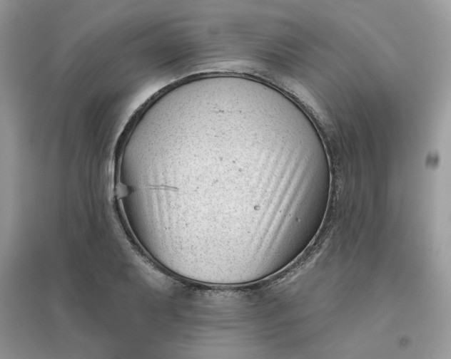 X0000096131079200802011142