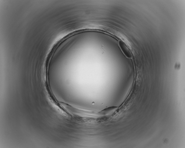 X0000096131080200802011142