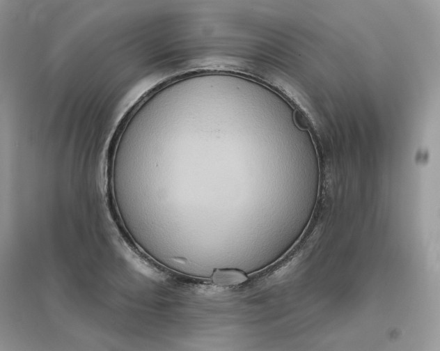 X0000096131082200802011142