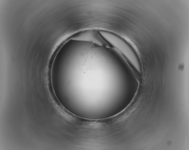 X0000096131085200802011142