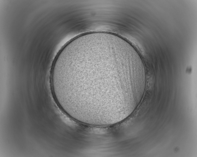 X0000096131086200802011142