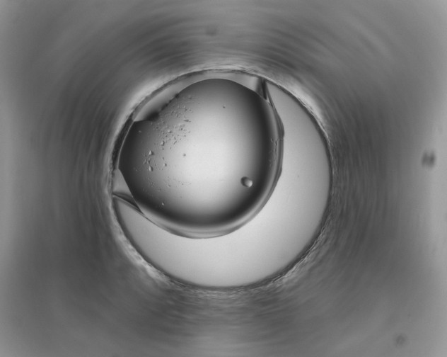 X0000096131088200802011142