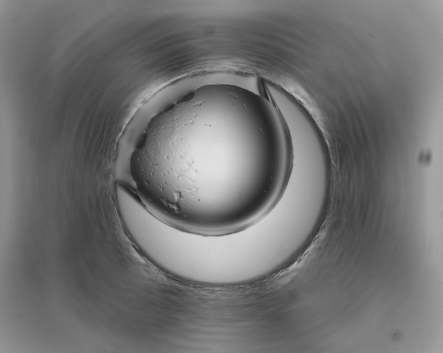 X0000096131089200802011142
