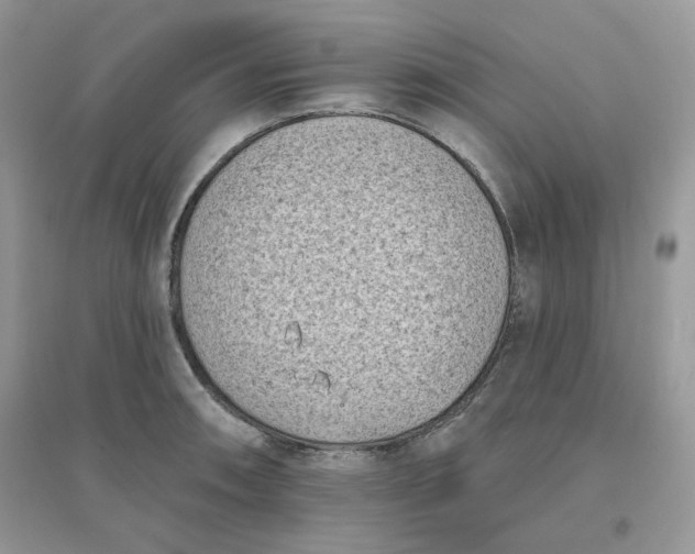 X0000096131090200802011142