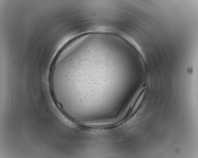 X0000096131091200802011142