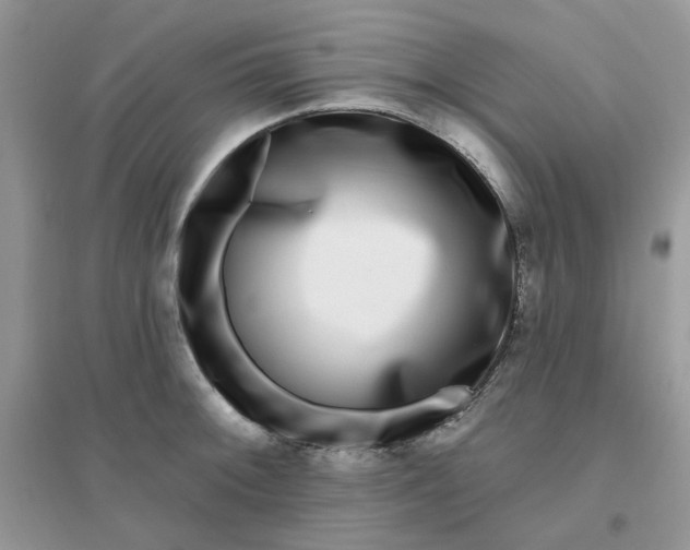 X0000096131092200802011142