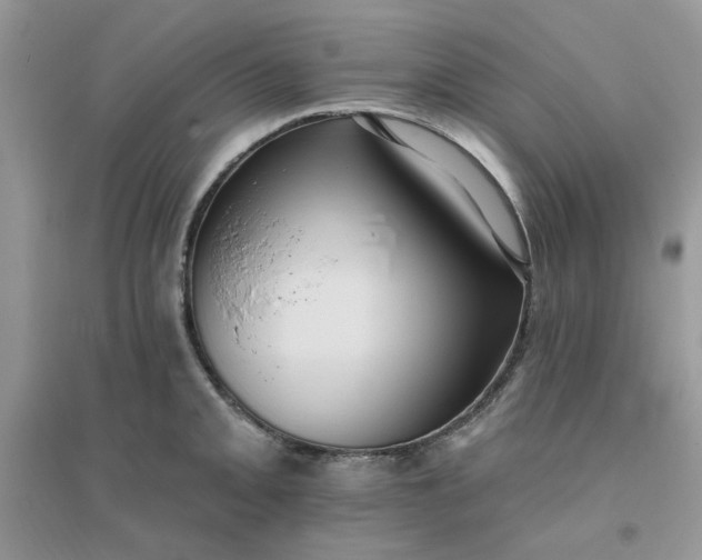 X0000096131093200802011142
