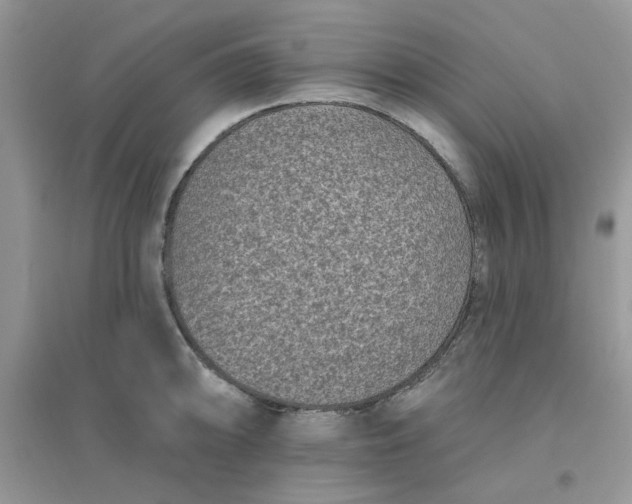 X0000096131094200802011142