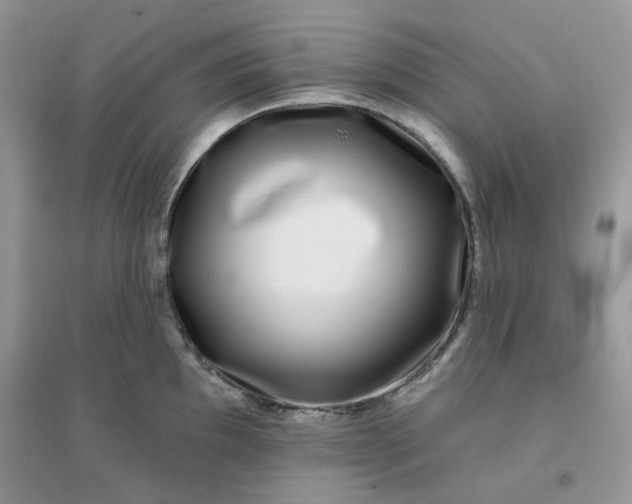 X0000096131097200802011142