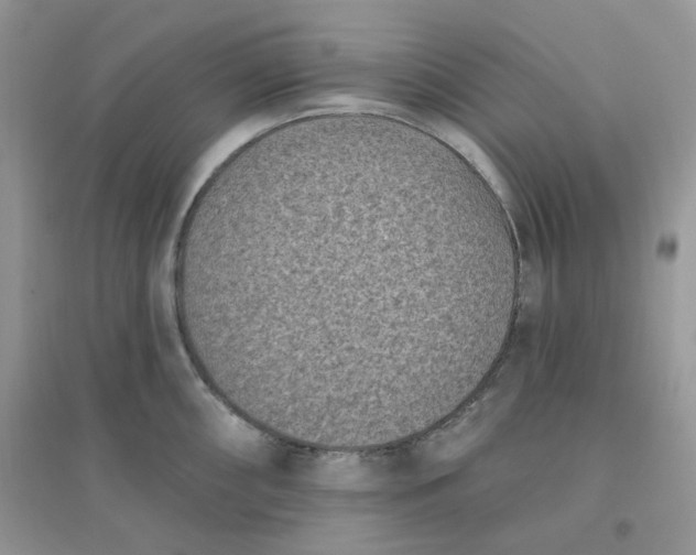 X0000096131098200802011142