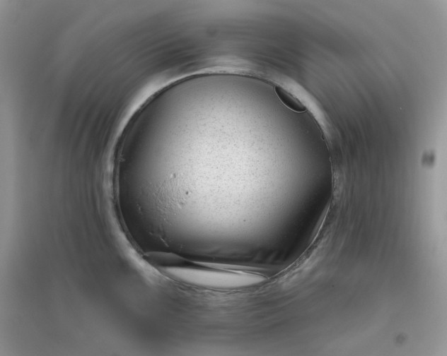 X0000096131099200802011142