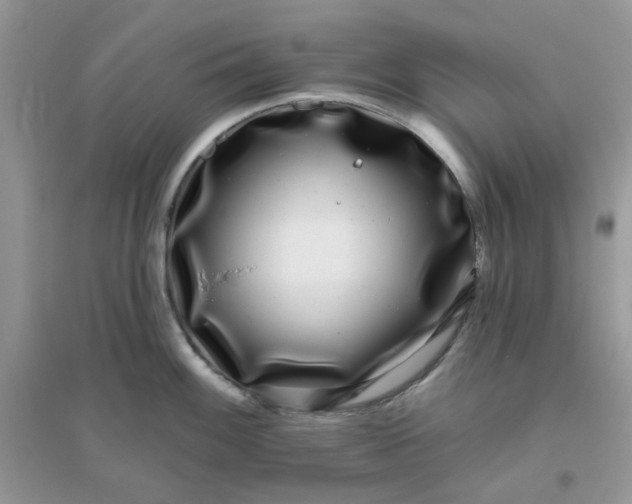 X0000096131100200802011142
