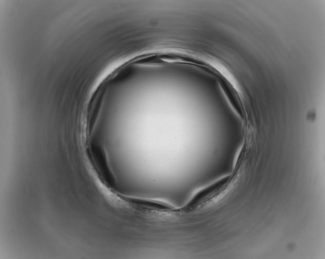 X0000096131101200802011142