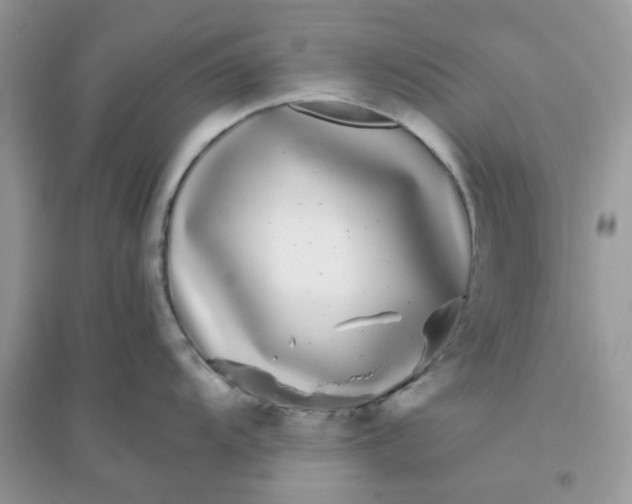 X0000096131104200802011142