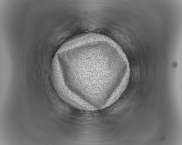X0000096131105200802011141