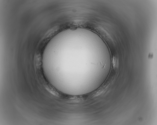 X0000096131107200802011141
