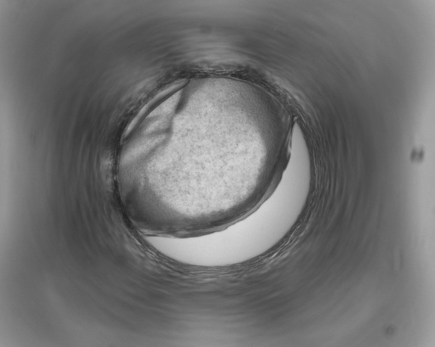 X0000096131108200802011141