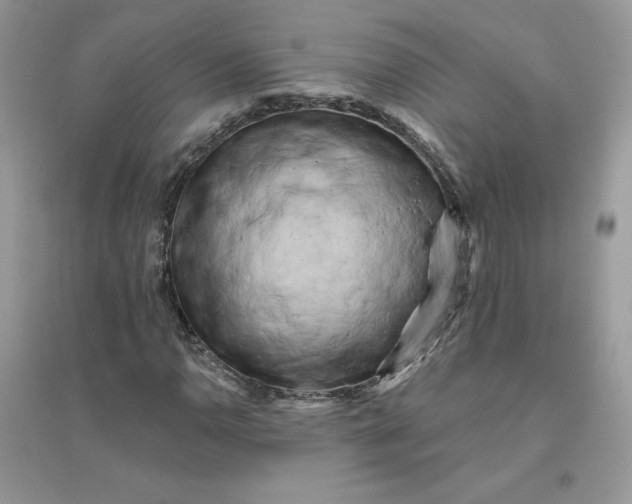 X0000096131110200802011141