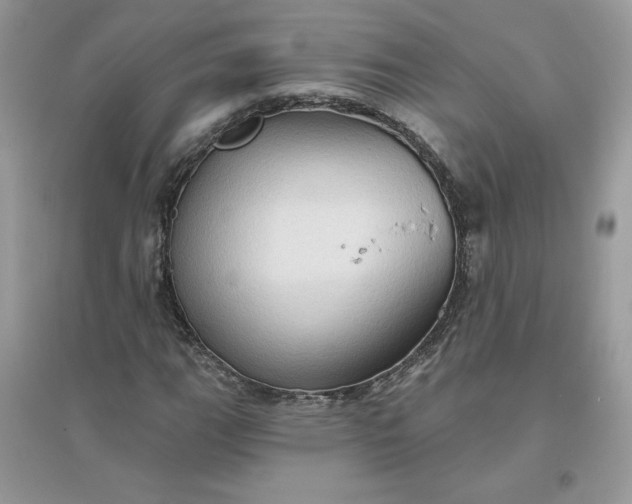 X0000096131111200802011141