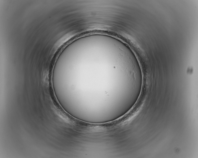 X0000096131113200802011141