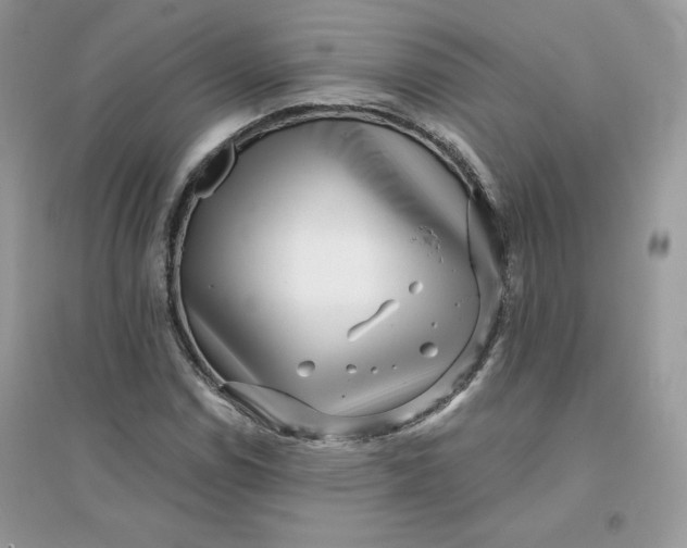X0000096131114200802011141