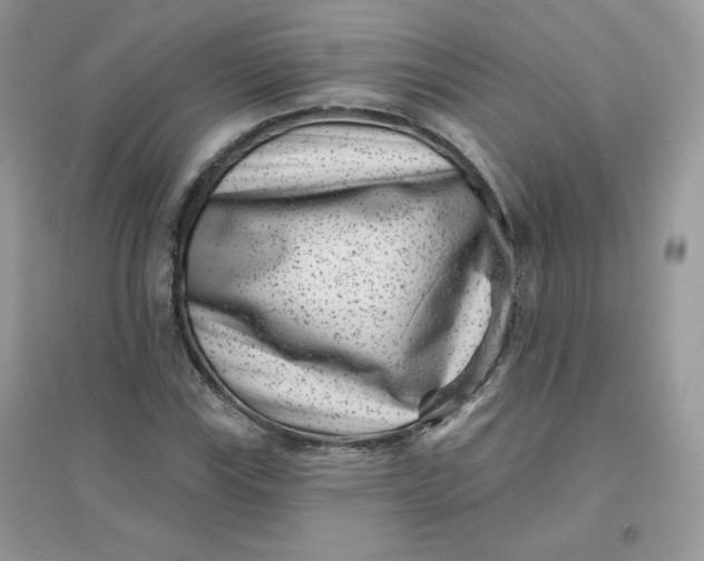 X0000096131115200802011141