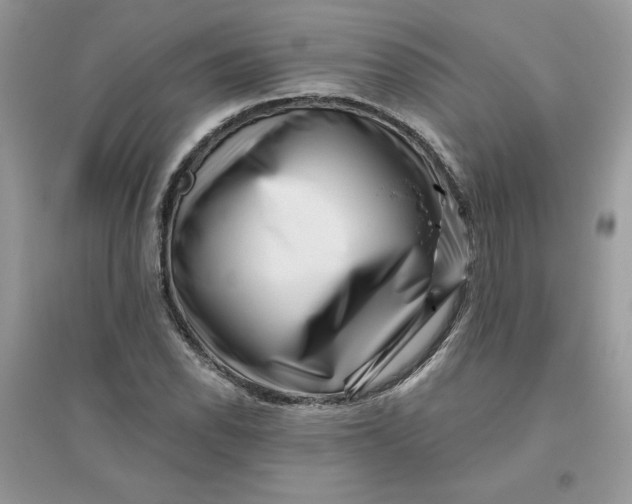 X0000096131118200802011142