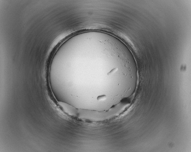 X0000096131122200802011142