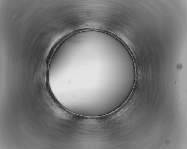 X0000096131123200802011142