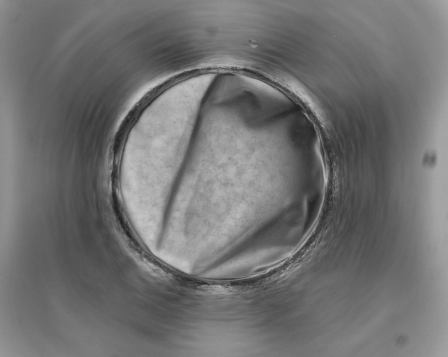 X0000096131124200802011142