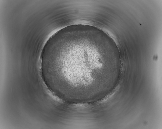 X0000096131125200802011142
