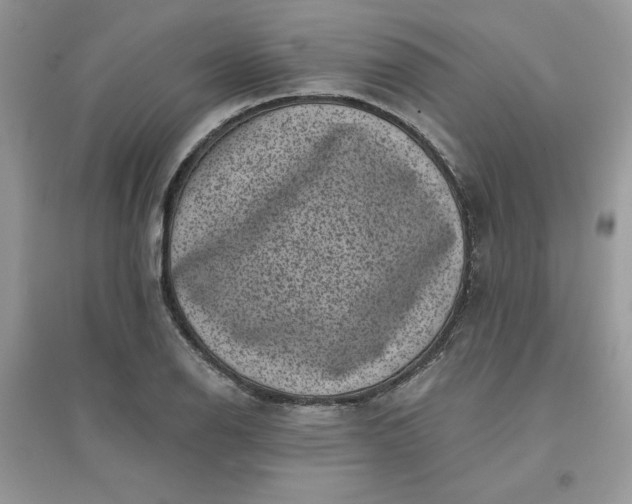 X0000096131126200802011142