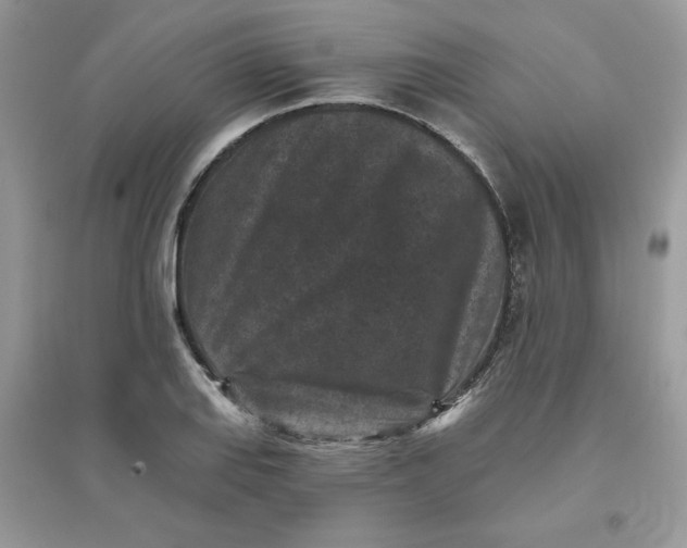 X0000096131127200802011142