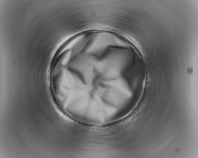 X0000096131128200802011142