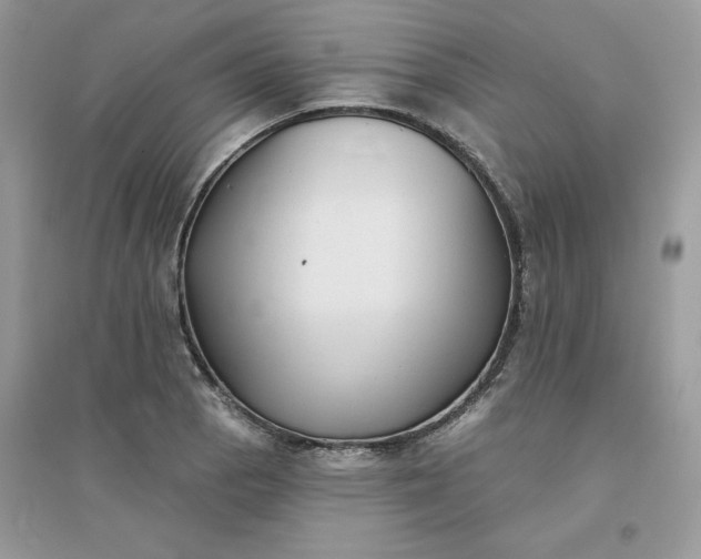 X0000096131129200802011142