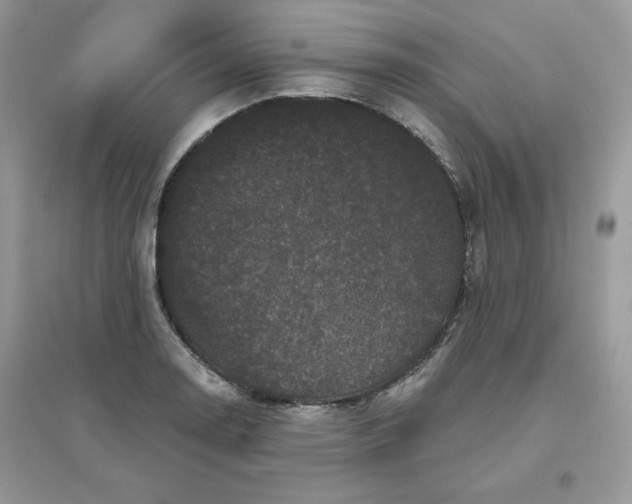 X0000096131130200802011142