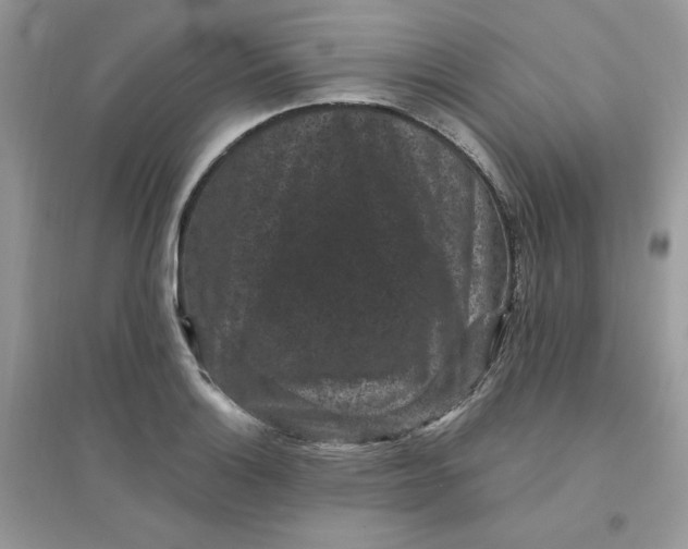 X0000096131132200802011142