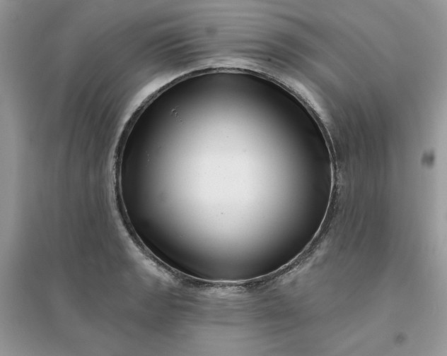 X0000096131133200802011142