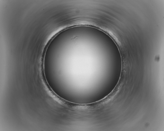 X0000096131134200802011142