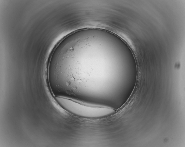 X0000096131136200802011142